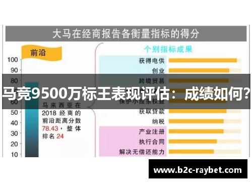 马竞9500万标王表现评估：成绩如何？