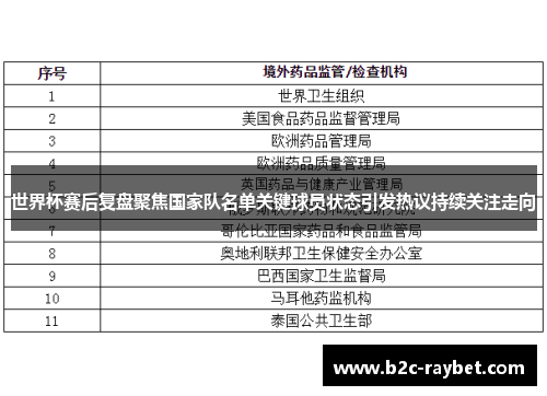 世界杯赛后复盘聚焦国家队名单关键球员状态引发热议持续关注走向